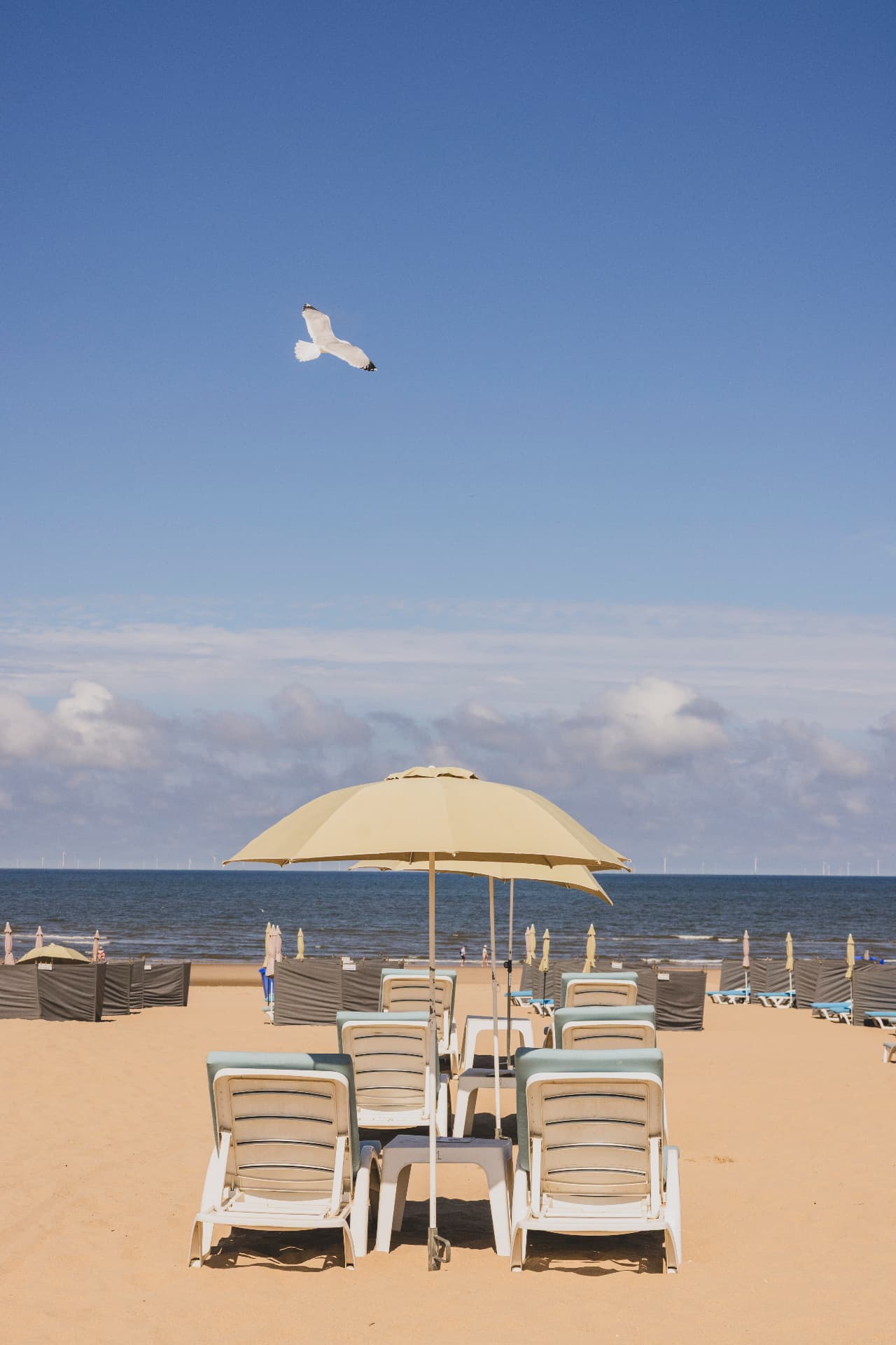 Strandstoelen en parasol met zicht op de Noordzee bij Katwijk